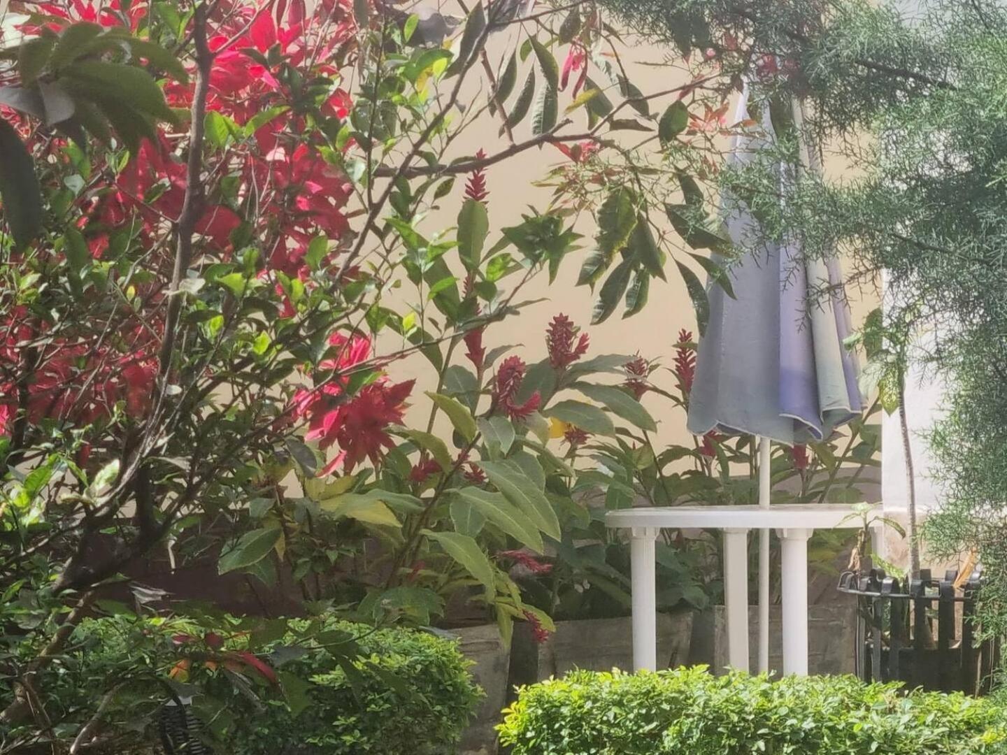 Tout Confort Avec Jardin Entree Bastos Yaoundé Zewnętrze zdjęcie