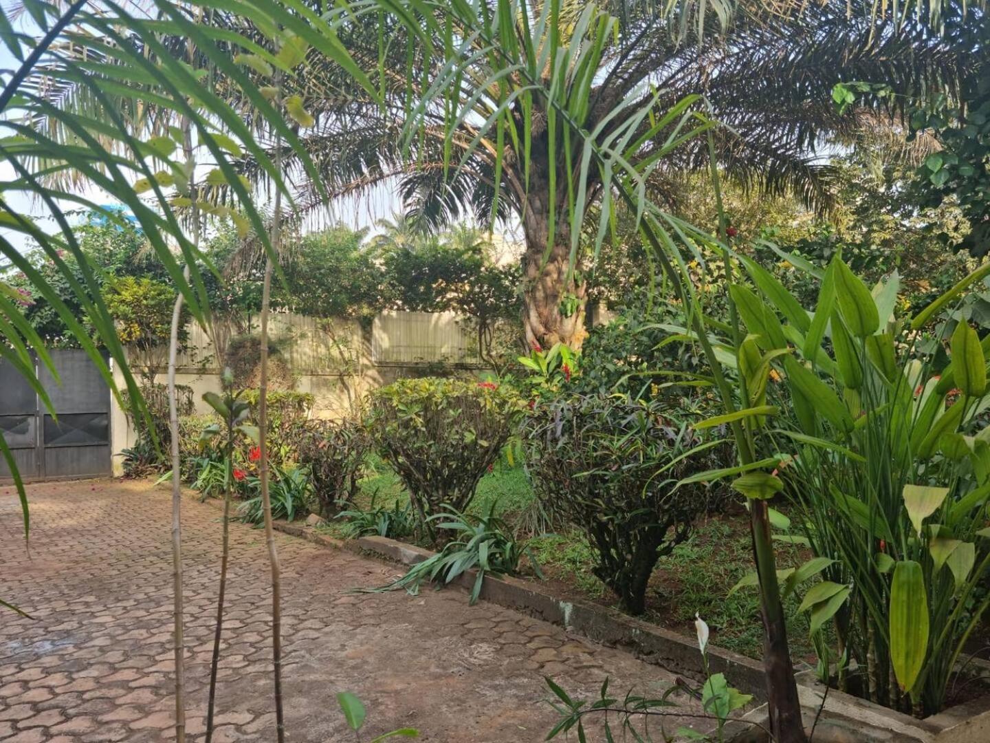 Tout Confort Avec Jardin Entree Bastos Yaoundé Zewnętrze zdjęcie