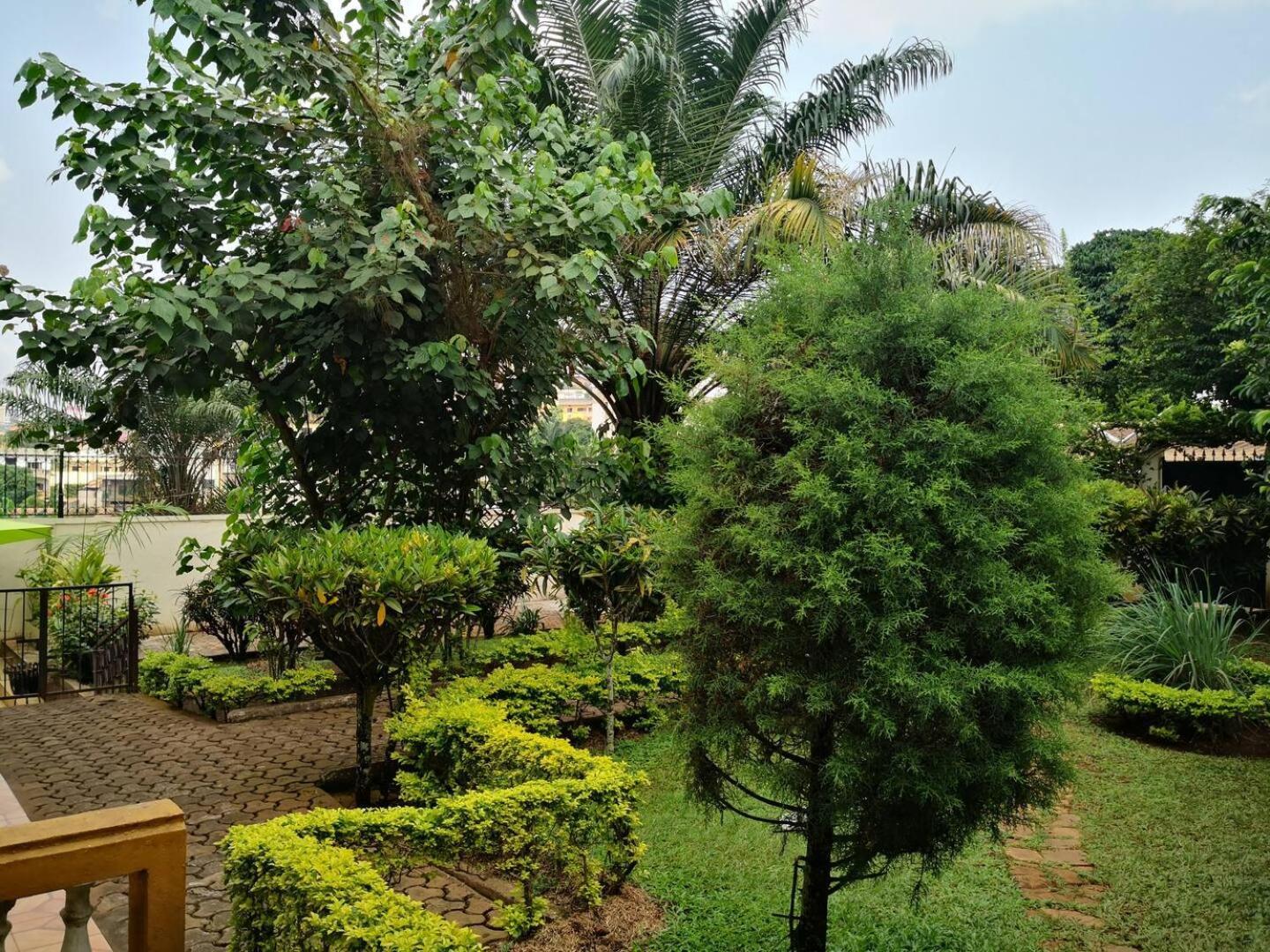 Tout Confort Avec Jardin Entree Bastos Yaoundé Zewnętrze zdjęcie